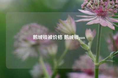 鵝絨鎖被價(jià)格 鵝絨鎖pan