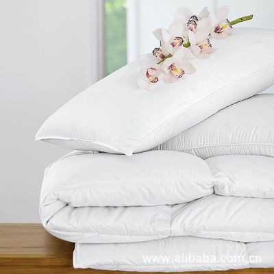 【歌登飛 白色羽絨枕芯 保暖性強,透氣性好.】價格,廠家,圖片,枕頭、枕芯、保健枕,深圳市三鴻羽絨制品(銷售部)-